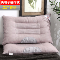 决明子保健枕头学生枕头芯套装一对枕芯一对装成人家用儿童枕头抖音同款