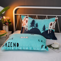 加厚珊瑚绒枕套法兰绒枕套儿童卡通单人双人枕头皮法莱绒枕套一对抖音同款