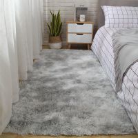 加厚可水洗丝毛客厅卧室茶几地毯飘窗床边地垫满铺地毯网红可定制抖音同款