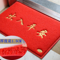 口地垫垫脚垫卫生间厨房垫浴室垫口地毯地垫加厚丝圈红地毯抖音同款