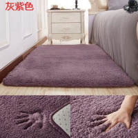 [送礼品]加厚长毛地毯卧室床边客厅茶几飘窗榻榻米地垫满铺定制抖音同款