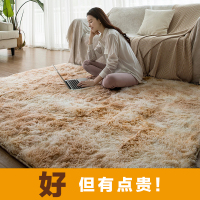 地毯卧室网红同款满铺可爱客厅少女房间北欧ins风地垫卧室床边毯抖音同款