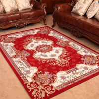 欧式地毯大客厅茶几卧室地毯满铺飘窗毯床边榻榻米家用长方形抖音同款