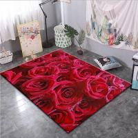 铿锵玫瑰地毯走廊卧室客厅厨卫3D印花地毯抖音同款