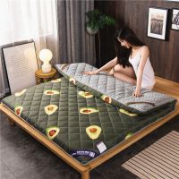加厚床垫子床褥磨毛印花1.5米1.8米榻榻米褥子学生单双人海绵垫被抖音同款
