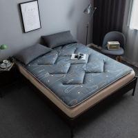 家用宿舍用可折叠床垫加厚5公分单双人1米1.8m宿舍榻榻米软床垫子抖音同款