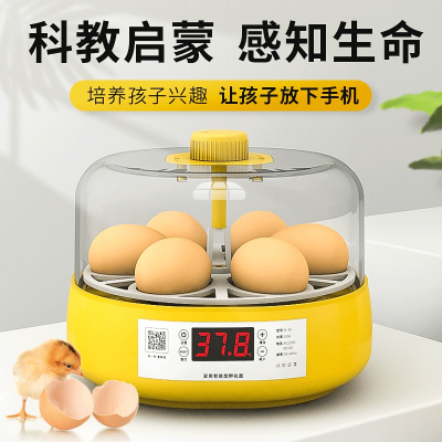 孵蛋器芦丁鸡小鸡孵化器小型家用儿童孵化机水床鹦鹉全自动孵化箱其他小工具