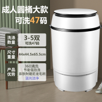 扬子家用小型迷你非全自动洗鞋机懒人洗鞋抖音同款刷鞋_大圆桶洗鞋机蓝光单洗鞋机推荐款