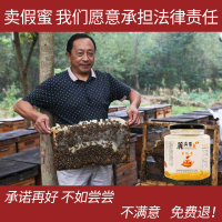 丽屏蜂宝 紫槐蜜 天然紫槐蜜蜂蜜无添加 滋补好营养