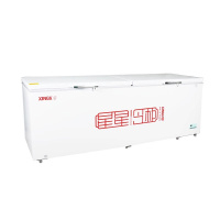 星星BD/BC718ND家用冷柜 卧式冷柜 -40°深冷柜大柜 宽幅变温一机7用