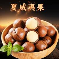 美仁镇夏威夷果奶香浓郁25g/包坚果仁干果炒货零食