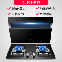 DJ1C2+B15抽油烟机燃气灶套餐厨房油姻机灶具套装 DJ1C2+B15 液化气