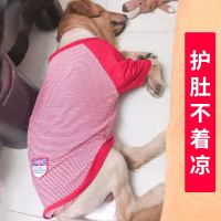 狗狗衣服金毛拉布拉多宠物萨摩耶秋装秋季中型大型犬大狗冬天秋冬