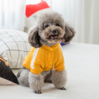 姜黄色宠物衣服小狗狗衣服幼犬比熊博美泰迪贵宾衣服猫咪秋冬装