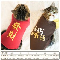 猫咪衣服秋冬装猫秋季可爱小猫加厚蓝猫春秋幼猫狗狗衣服宠物冬季