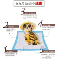 宠物尿片狗厕所尿垫吸水猫狗尿片尿布尿不湿泰迪尿垫比熊宠物用品 天蓝色 XL-超大型 宠物尿片