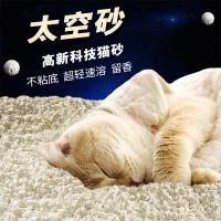 猫用太空砂速溶超轻猫咪球形雪花砂豆腐猫砂吸水结团6L(约1.3kg)