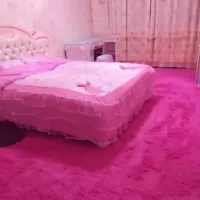 丝绒家用卧室全铺满地毯客厅茶几沙发床边儿童房毯榻榻米地垫定制