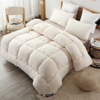 冬季被子加厚保暖羊羔绒被芯秋冬被褥学生宿舍单人冬被空调春秋被