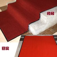 进地毯迎宾垫垫红地垫玄关防滑地毯加厚剪裁室内走廊过道楼