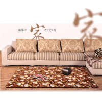 珊瑚绒地毯多种图案地毯可选卧室床前客厅茶几地毯垫可定做