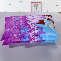 冬季单人枕套48 74cm学生一只斜纹棉布双人枕头套加厚磨毛一对拍2