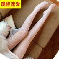 性感镂空蕾丝网袜打底连裤袜日系洛丽塔花朵蝴蝶结渔网袜黑色显瘦