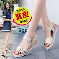 红蜻挺2021新款真皮凉鞋女夏防滑百搭妈妈鞋平底魔术贴女士休闲鞋