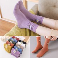 袜子女韩版 中筒男春夏季薄款jk长袜子防臭篮球袜短袜ins长筒潮流|复古小雏菊[长筒堆堆袜]抗寒保暖 5双装