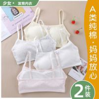 少女文胸初中学生内衣小胸韩版纯棉高中生背心发育期大童胸罩薄款