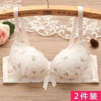 甜美可爱蕾丝无钢圈性感少女文胸罩聚拢调整型高中学生发育期内衣