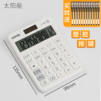 语音计算器可爱韩国糖果色学生用太阳能计算机财务会计专用大按键大屏幕办公用多功能大学计算器女生粉色|小号/白色/双电源