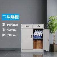 上海文件柜铁皮文件柜更衣柜凭证柜财务柜档案柜资料柜矮柜衣柜|二斗矮柜 2.0