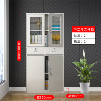 铁皮文件柜办公室档案资料财务凭证更衣储物铁柜收纳带锁矮柜柜子|中二斗柜 1.1mm