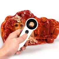 高清高倍手持放大镜带灯便携式玉石印刷邮票钱币古董珠宝鉴定|金属头手持带灯[玻璃镜片]