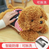 热水袋充电式防爆暖手宝注水毛绒可爱热敷肚子煖宝宝暖水袋热宝女 泰迪狗黑衣