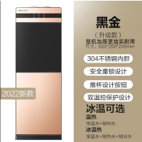 温热 金色黑条(升级款) 饮水机家用立式冷办公节能冰温热双门制冷开水机茶吧机