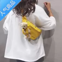 FENGHOU斜挎可爱小熊帆布包小包包女2021新款潮ins学生百搭网红胸包腰包腰包男