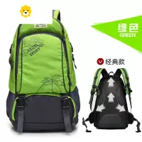 FENGHOU旅行背包女轻便大容量2021新款旅游双肩包男士户外短途出差登山包