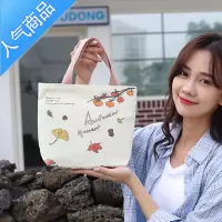 封后手提袋子时尚外出户外包包可爱小布袋迷你饭包上班小拎包帆布包女女斜挎包