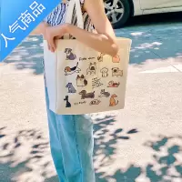 封后Dailybag帆布包女夏ins韩风大容量托特包大学生上课通勤单肩布袋女包
