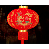 灯笼大红灯笼挂饰灯吊灯中国风户外阳台宫灯节日灯笼过年春节新年装饰