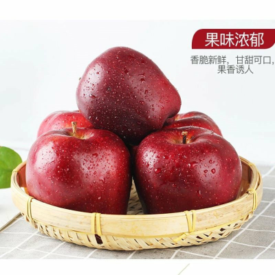 [现摘现发]甘肃天水花牛苹果5斤75以上果子新鲜水果新鲜当季时令水果红蛇果