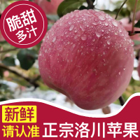 [助农精选]正宗陕西洛川苹果新鲜水果红富士苹果脆甜多汁冰糖心
