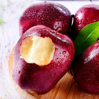 花牛苹果甘肃天水花牛新苹果新鲜水果蛇果孕妇水果