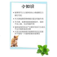 猫薄荷球逗猫棒猫咪用品逗猫玩具猫咪磨牙棒耐啃咬猫薄荷粉木天蓼 薄荷单球(买2发5)