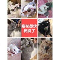 猫薄荷球棒棒糖猫咪用品幼猫逗猫玩具自嗨逗猫棒木天蓼耐咬磨牙棒 木天蓼棒5支装(2套送猫薄荷 赠品叠加)