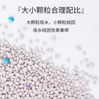 猫砂20斤大颗粒猫砂10KG膨润土猫砂5KG10斤结团除臭低尘全国 20斤送猫糖-060