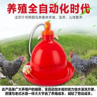 鸡鸭鹅用自动饮水器普拉松喂水器小鸡加水壶养鸡养殖设备鸡用品 开关3个