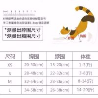 猫咪牵引绳遛猫绳溜猫绳夏季猫链子防挣脱拴猫绳小猫绳猫咪用品